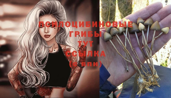 дистиллят марихуана Новодвинск