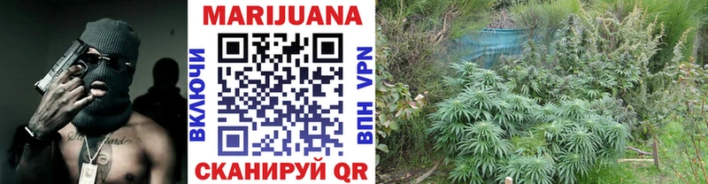 Каннабис VHQ  Купить закладки  Агрыз 